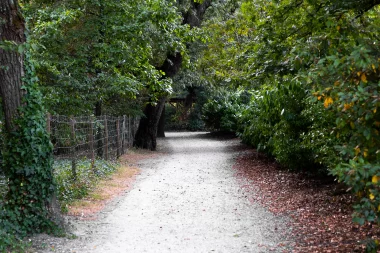 Parc Bordelais (1).